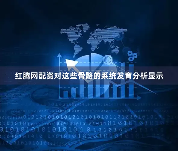 红腾网配资对这些骨骼的系统发育分析显示