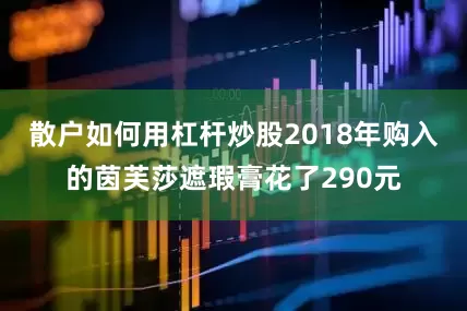 散户如何用杠杆炒股2018年购入的茵芙莎遮瑕膏花了290元
