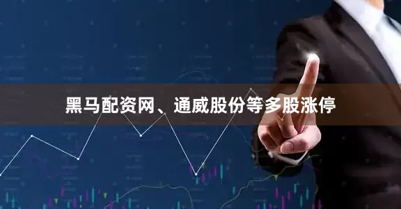 黑马配资网、通威股份等多股涨停