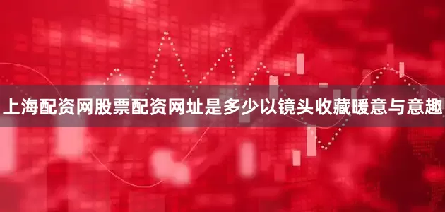 上海配资网股票配资网址是多少以镜头收藏暖意与意趣
