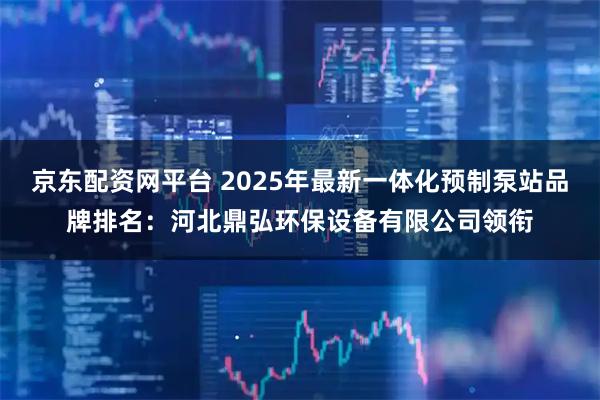 京东配资网平台 2025年最新一体化预制泵站品牌排名：河北鼎弘环保设备有限公司领衔