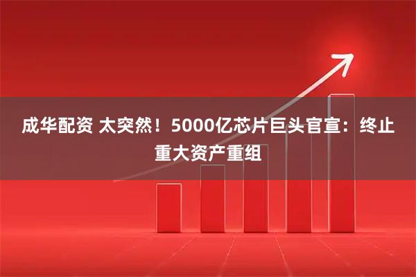成华配资 太突然!5000亿芯片巨头官宣:终止重大资产重组